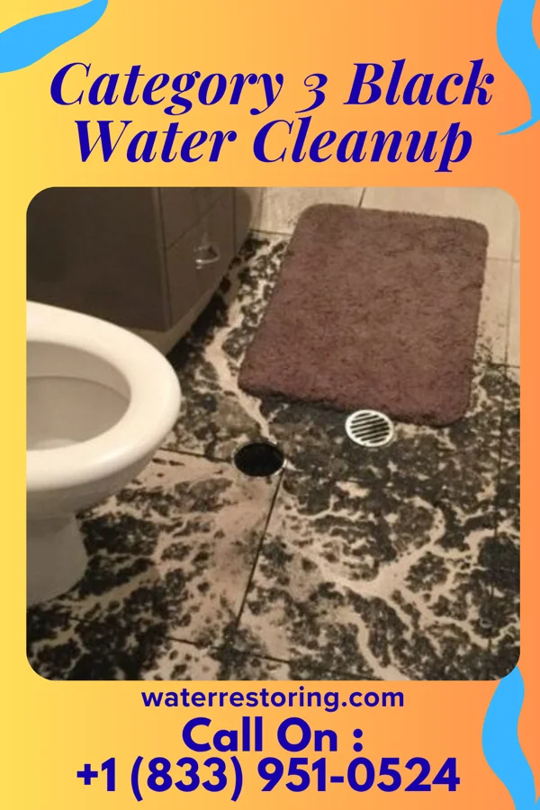 Category 3 Black Water Cleanup in Fort Cobb, OK